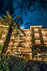 Image showing palm tree at night near hotel