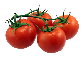 Image showing Red Tomatoes