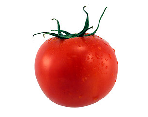 Image showing Red Tomato