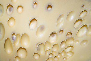 Image showing Cheese wholes