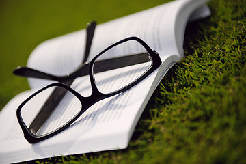 Image showing Glasses on a book outside with grass