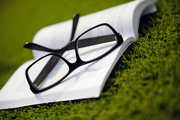 Image showing Glasses on a book outside with grass