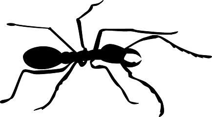 Image showing ant silhouette