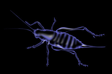 Image showing cricket silhouette