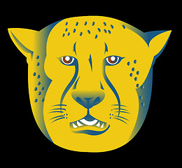 Image showing cheetah head facing front