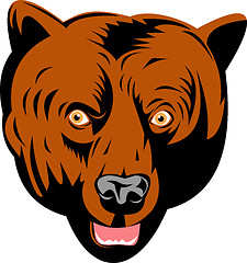 Image showing grizzly brown bear head facing front