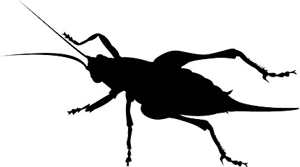 Image showing cricket silhouette