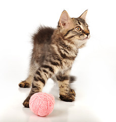 Image showing cute little kitten with a wool ball