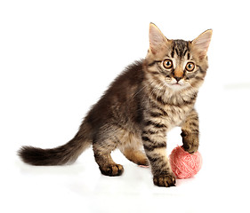 Image showing cute little kitten with a wool ball