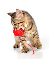 Image showing cute little kitten carrying a wool ball