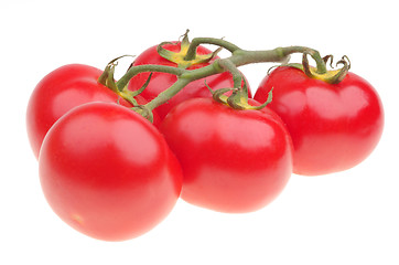 Image showing Vine tomato