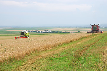 Image showing Harvest time
