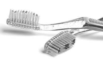 Image showing Toothbrushes