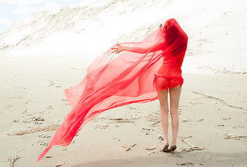 Image showing Attractive naked girl on sand. Back view