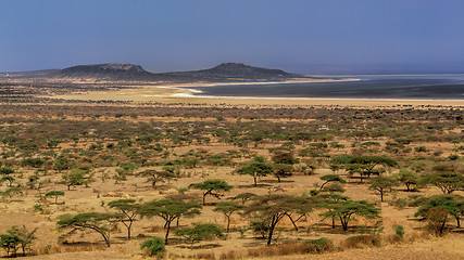 Image showing Abyata Lake