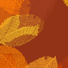 Image showing Dry autumn leaves template. EPS 8