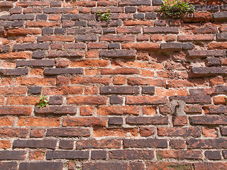 Image showing Red bricks