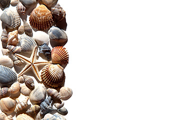 Image showing sea shells and star