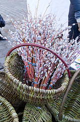 Image showing wicker basket spring pussy-willows kittens fair 