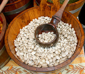 Image showing Garlic spice