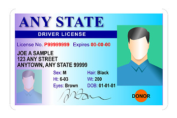 Image showing generic male state driver license