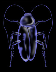 Image showing cockroach silhouette