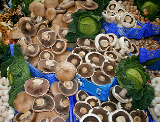 Image showing Mushrooms assortments