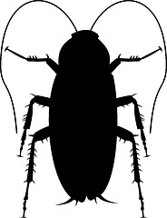 Image showing cockroach silhouette