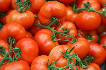 Image showing Tomato