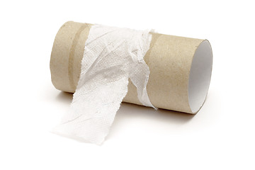 Image showing Empty toilet paper roll