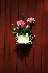 Image showing balcony flowers