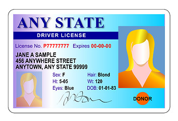 Image showing generic female state driver license