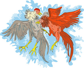 Image showing  fighting cocks