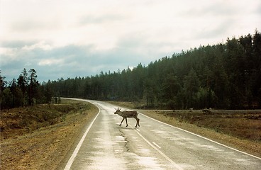 Image showing countryroad