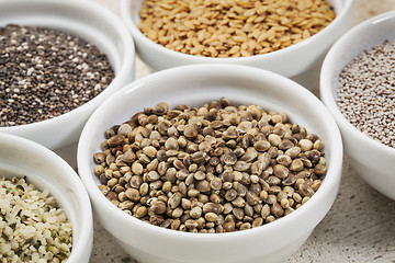 Image showing hemp seeds 