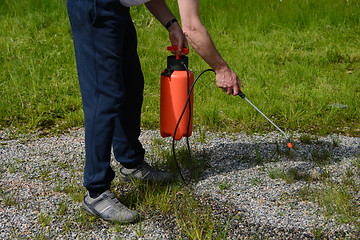 Image showing Remove weeds