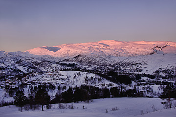 Image showing Winter sunset