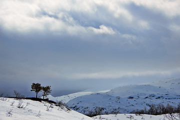 Image showing Serene winter landscape