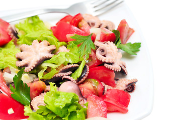 Image showing octopus salad