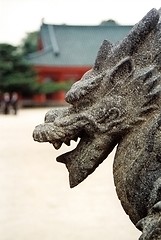 Image showing dragon