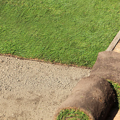 Image showing Instant turf being laid on the ground