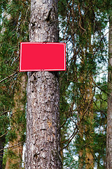 Image showing Empty red sign on a tree