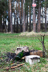 Image showing debris and extinguished bonfire in the woods