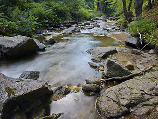 Image showing Stream in the forest