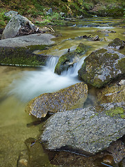 Image showing Stream in the forest