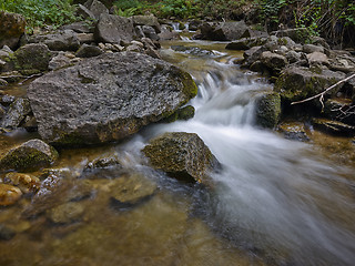Image showing Stream in the forest