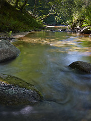 Image showing Stream in the forest
