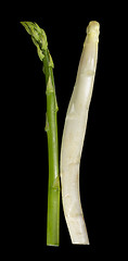 Image showing Asparagus