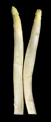 Image showing Asparagus