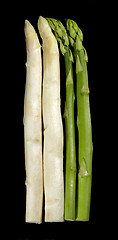 Image showing Asparagus